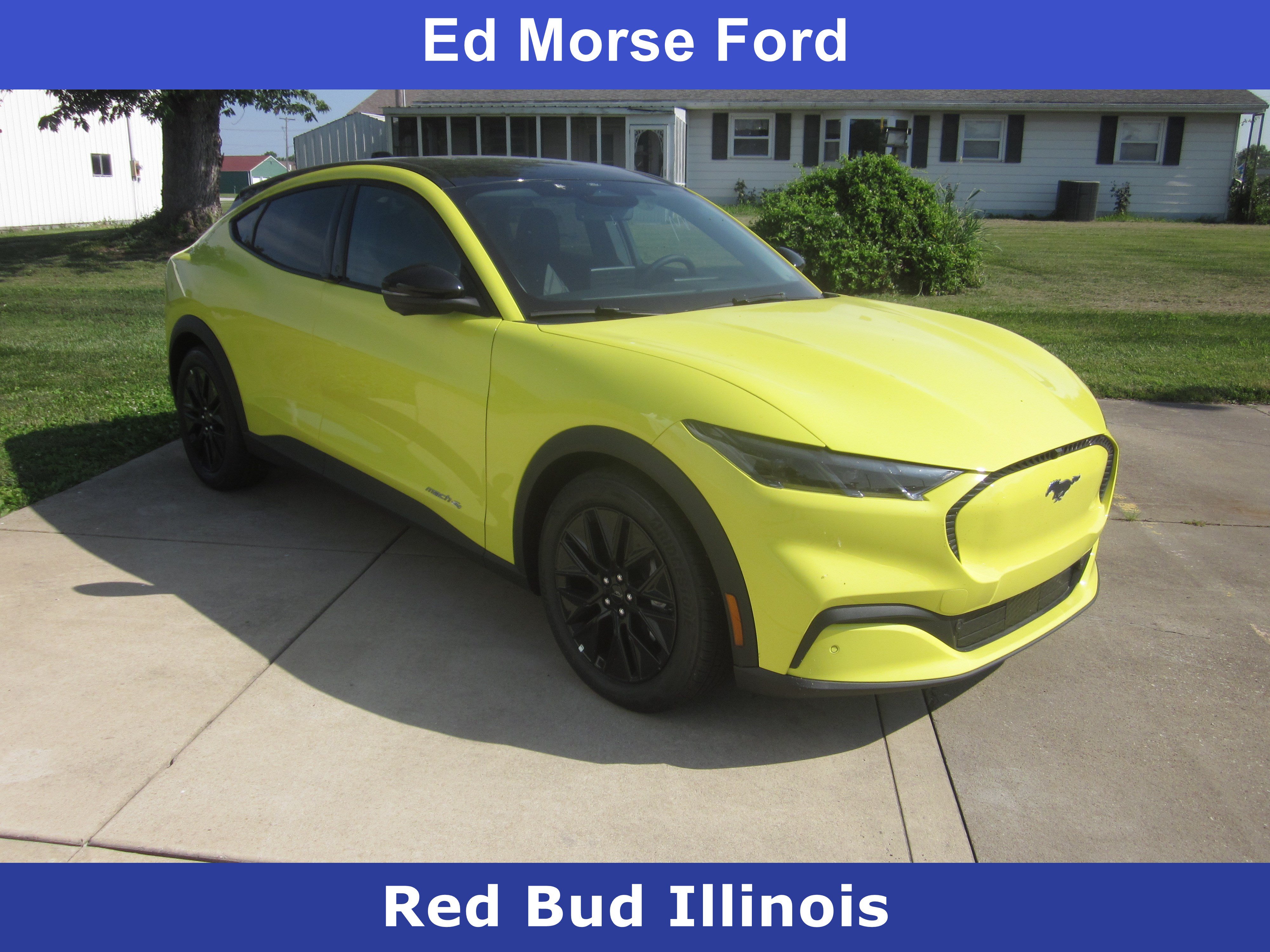 New 2025 Ford Mustang Mach-E Select w/ Comfort Package Lite AWD/4WD image 1