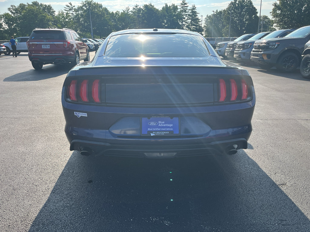 Used 2019 Ford Mustang Premium RWD image 5