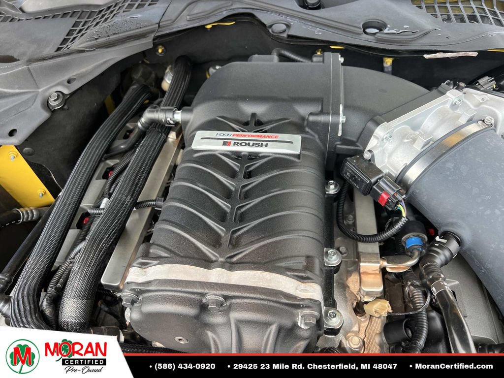Used 2016 Ford Mustang GT Premium w/ Equipment Group 401A RWD image 12