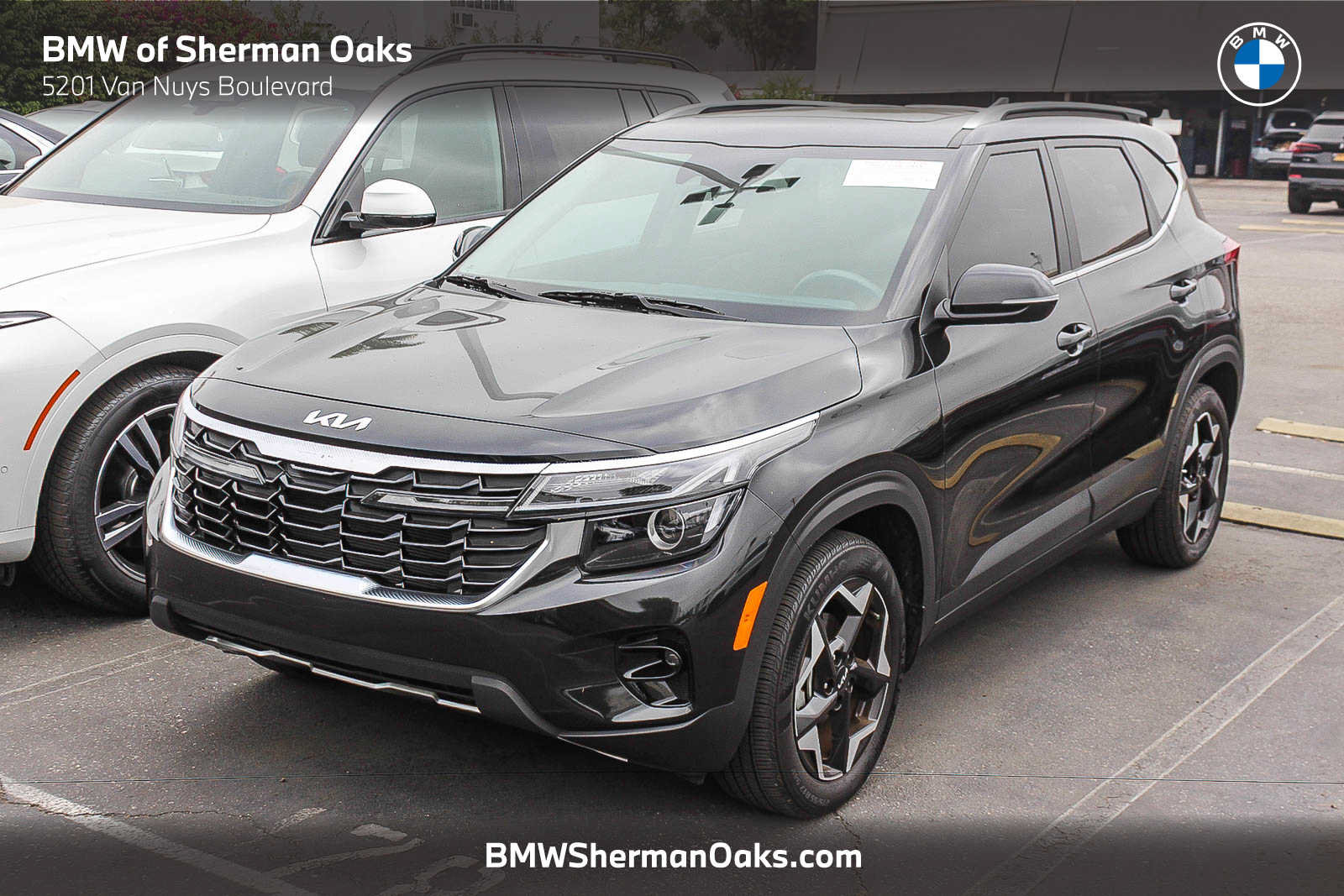 Used 2025 Kia Seltos EX w/ EX Sunroof Package FWD image 1