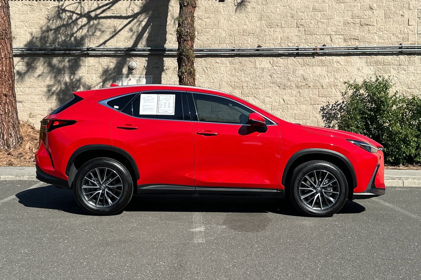 Used 2024 Lexus NX 350 AWD w/ Cold Area Package image 2