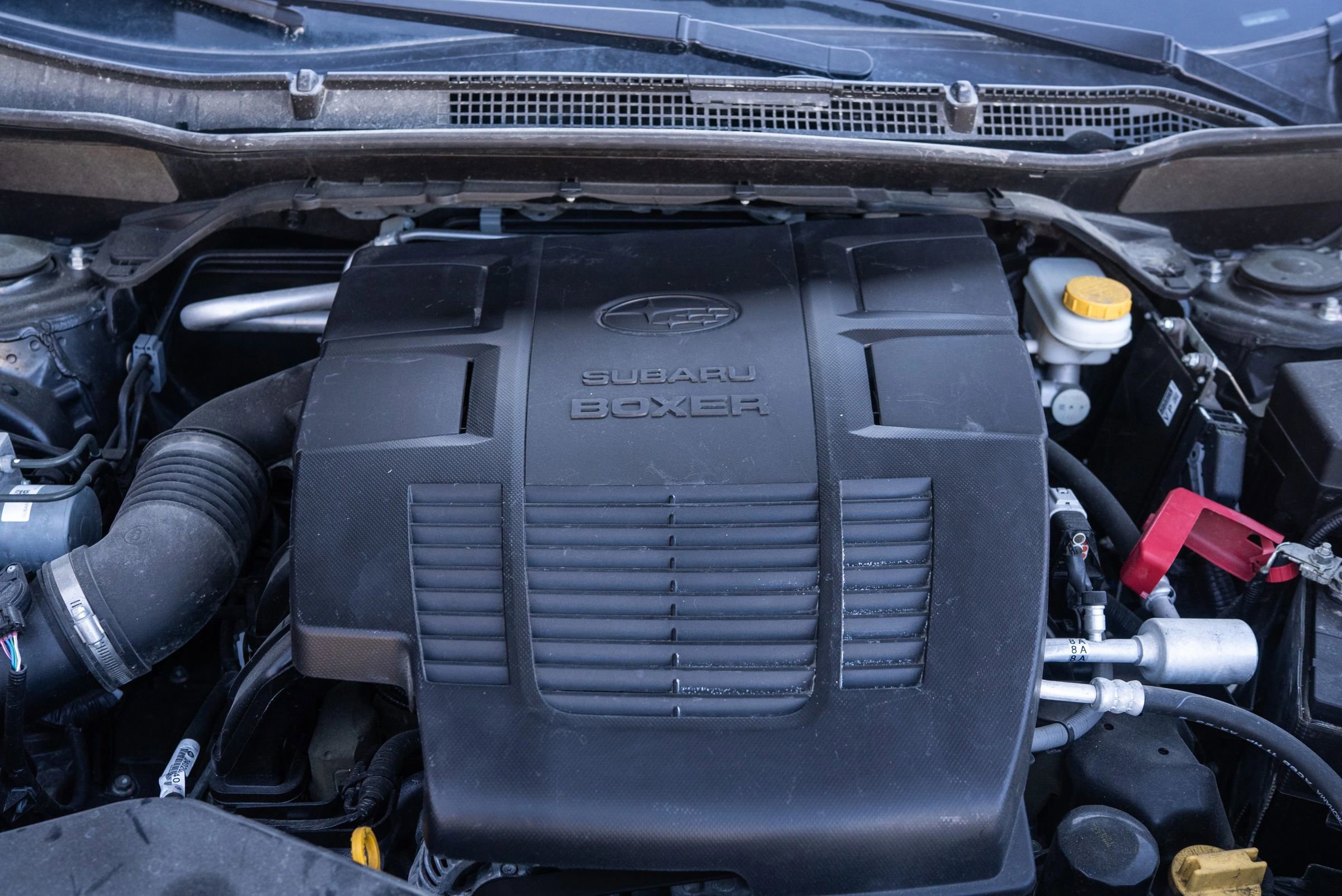 Used 2021 Subaru Forester Limited w/ Popular Package #3 image 7