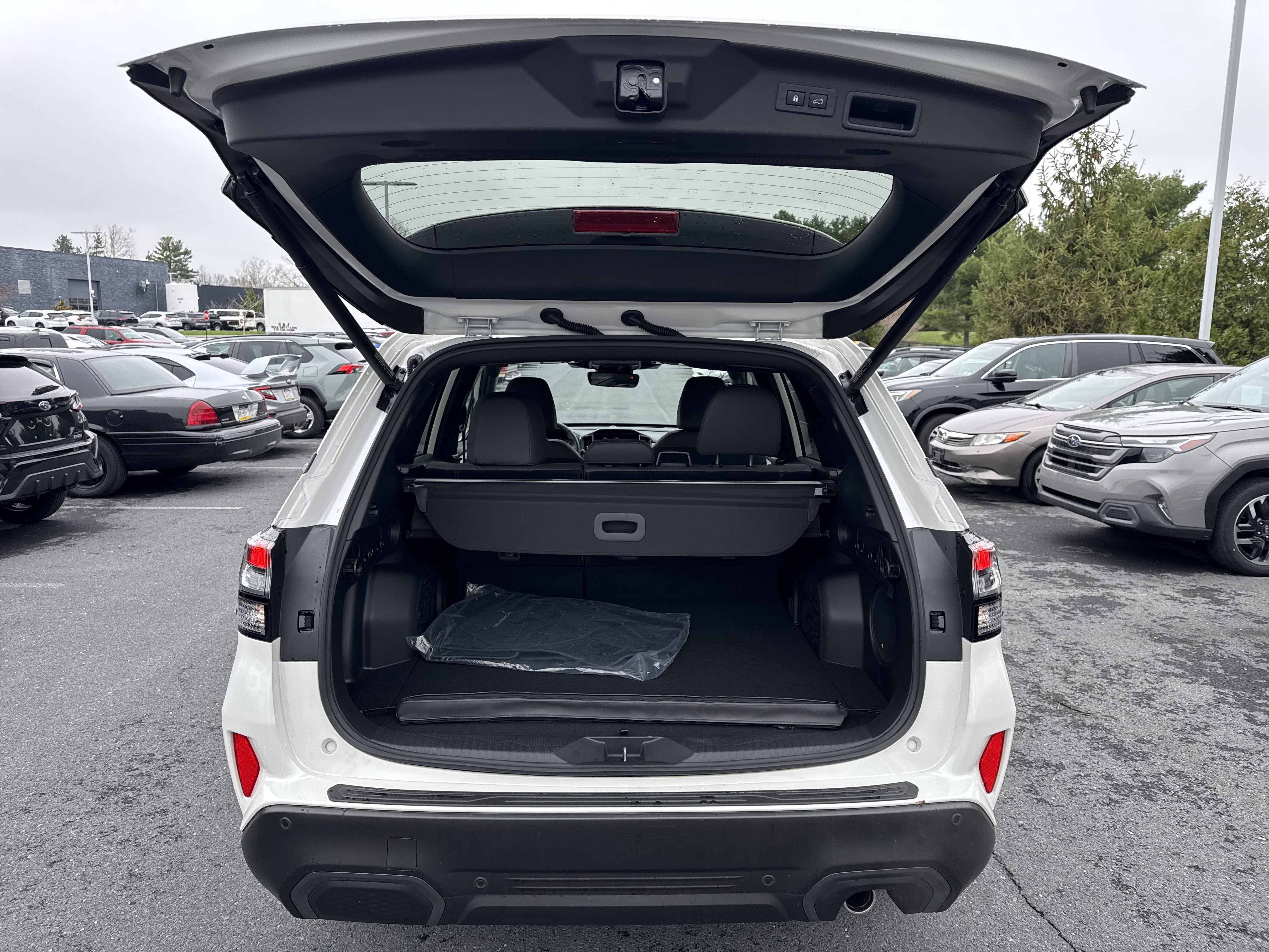 Certified 2025 Subaru Forester Limited image 30