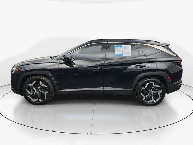 Used 2022 Hyundai Tucson Limited image 6