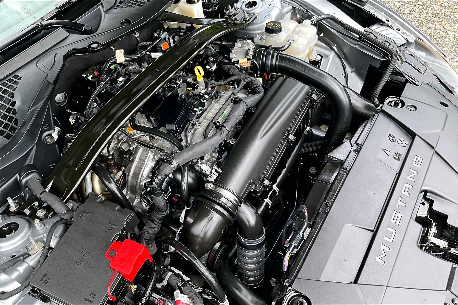 Used 2026 Ford Mustang Premium RWD image 31