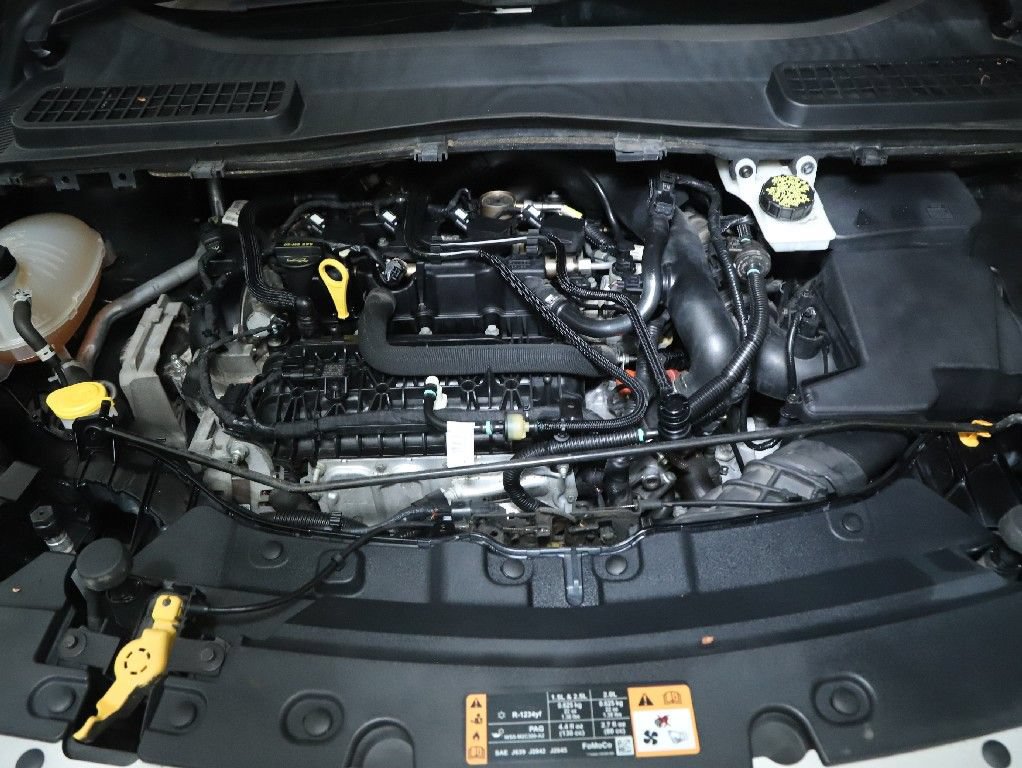Used 2019 Ford Escape SE FWD image 34