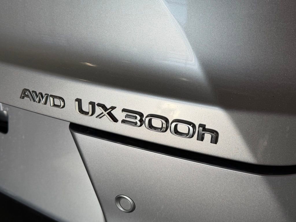 Used 2025 Lexus UX 300h AWD w/ Cold Area Package image 5