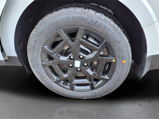 New 2025 Kia Carnival SX Prestige image 23