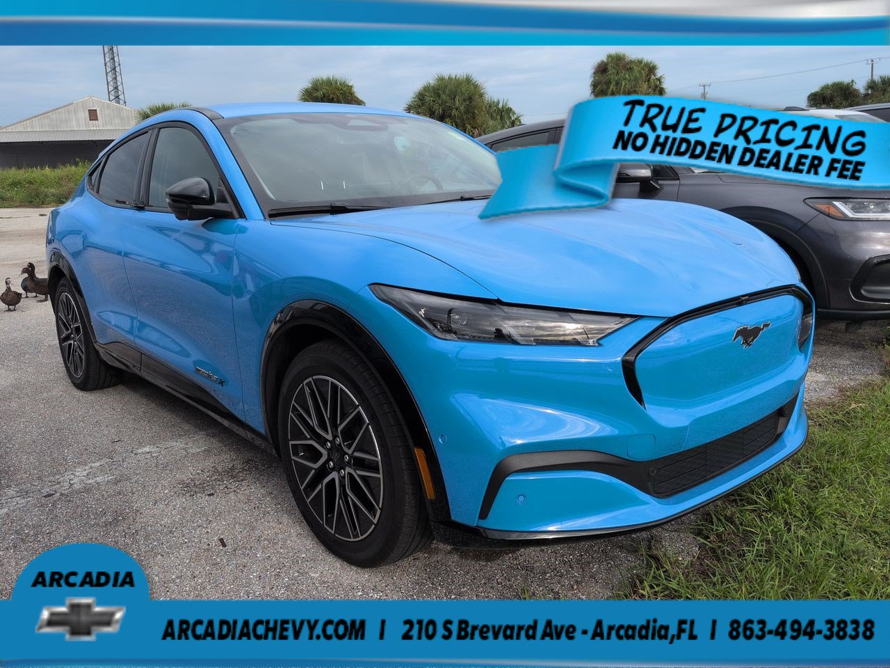 Used 2024 Ford Mustang Mach-E Premium