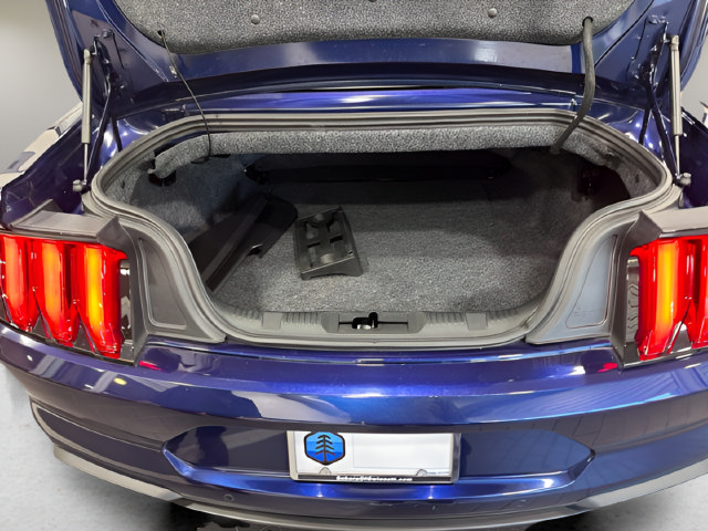 Used 2019 Ford Mustang Premium RWD image 29