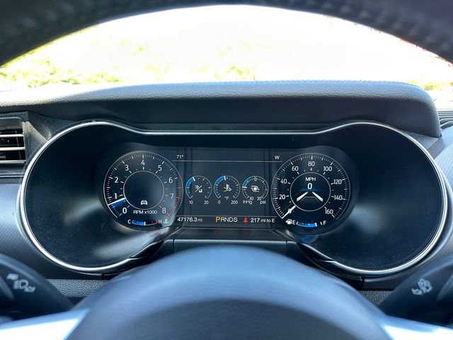 Used 2019 Ford Mustang Premium w/ Equipment Group 201A RWD image 25