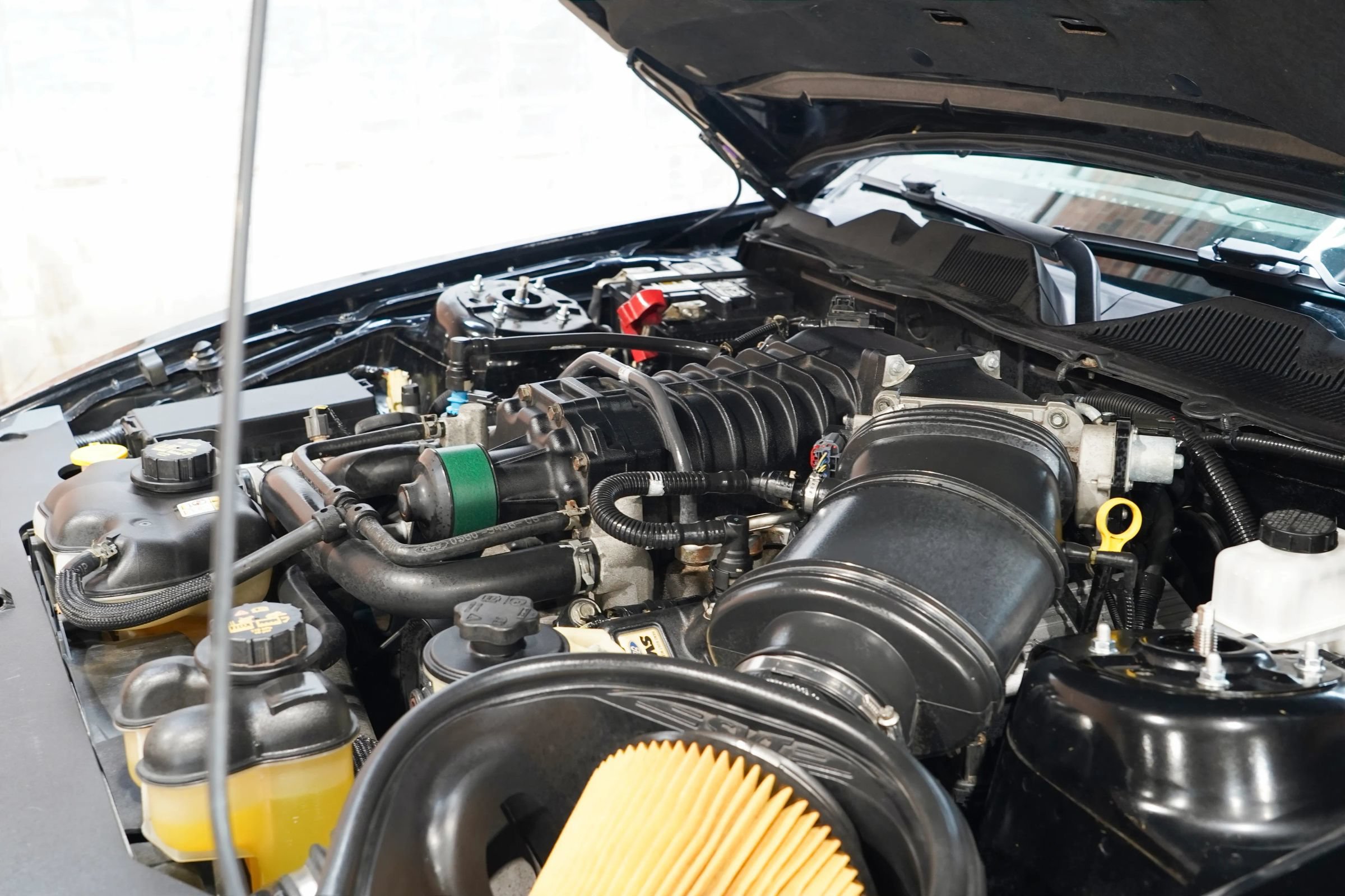 Used 2010 Ford Mustang Shelby GT500 RWD image 33
