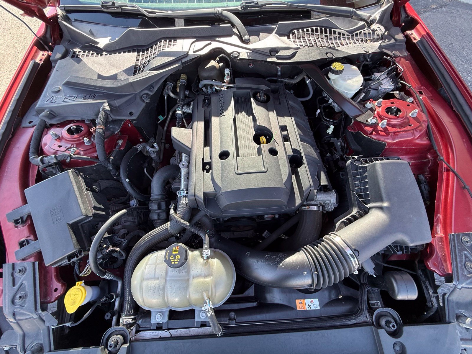 Used 2017 Ford Mustang Premium RWD image 21