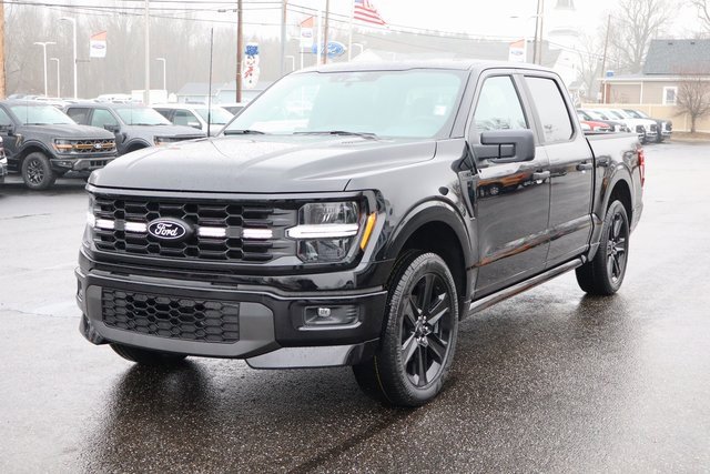 New 2025 Ford F150 STX w/ LOBO Package image 12