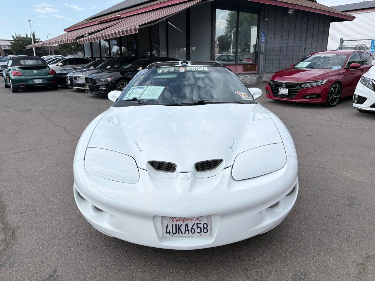 Used 2002 Pontiac Firebird Formula w/ SLP Firehawk Pkg RWD image 2