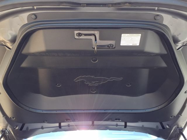 Used 2023 Ford Mustang Mach-E Select RWD image 9