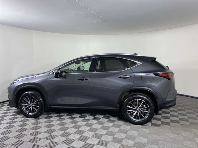 Used 2023 Lexus NX 350h AWD image 5