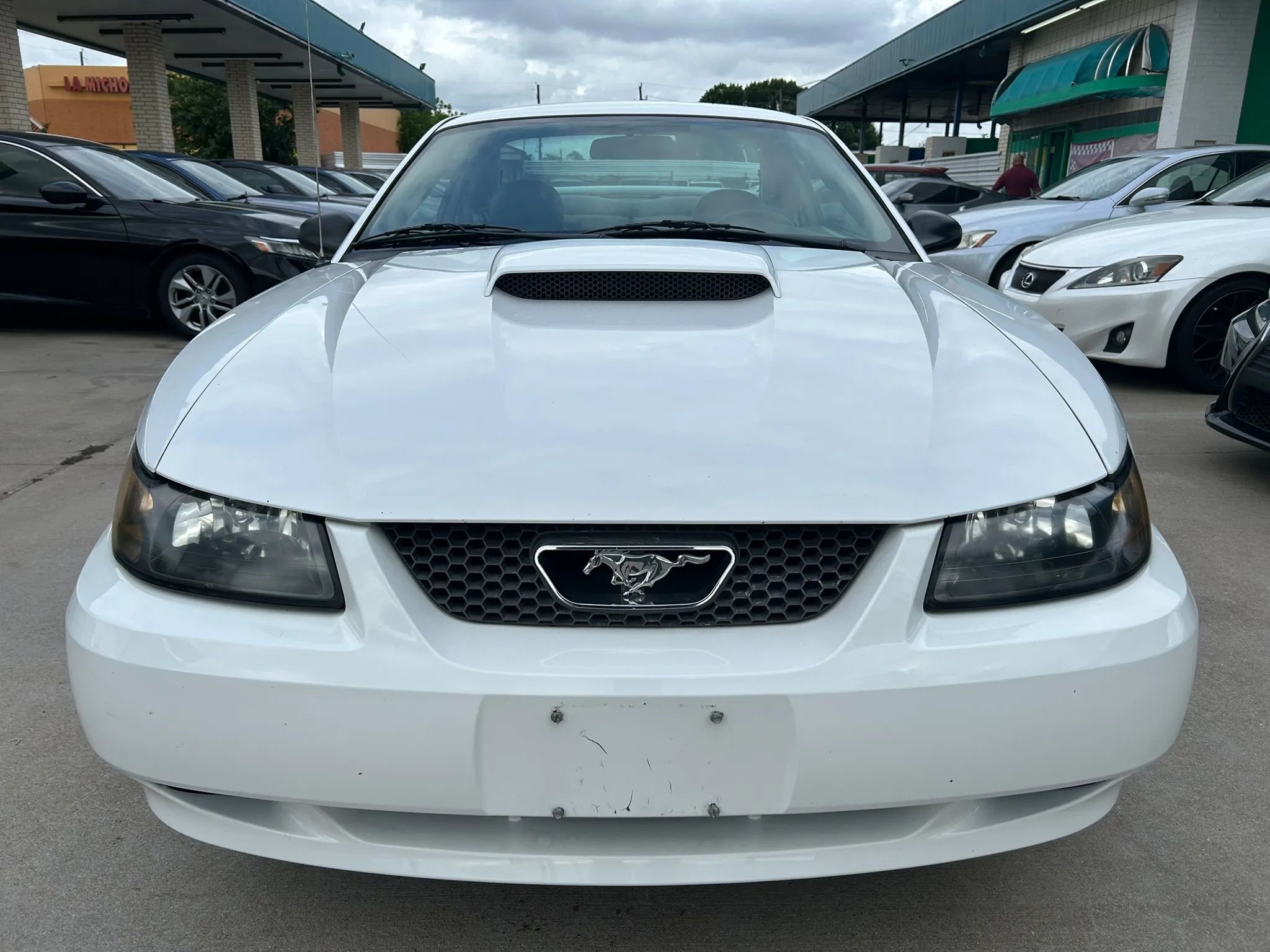 Used 2004 Ford Mustang GT Premium RWD image 8