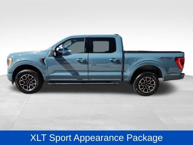 Used 2023 Ford F150 XLT w/ Equipment Group 302A High image 6
