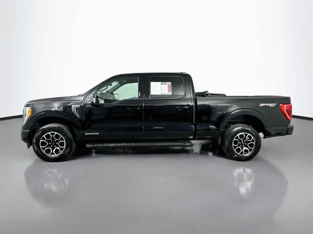 Used 2023 Ford F150 XLT w/ Equipment Group 302A High AWD/4WD image 5