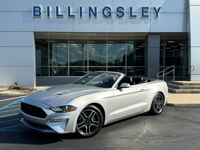 Certified 2019 Ford Mustang Premium RWD image 1