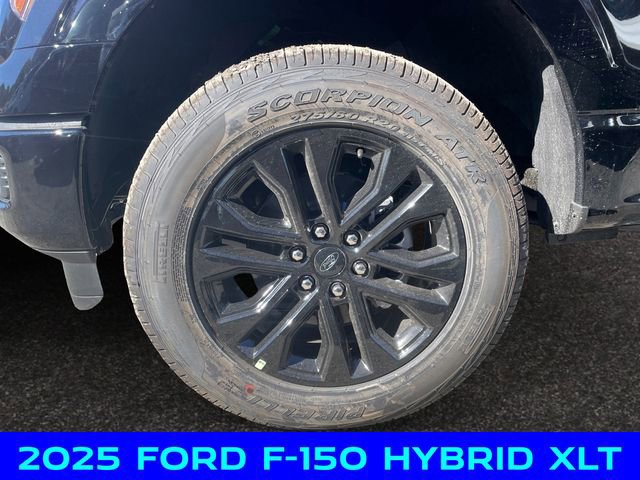 New 2025 Ford F150 XLT w/ Equipment Group 303A High image 14