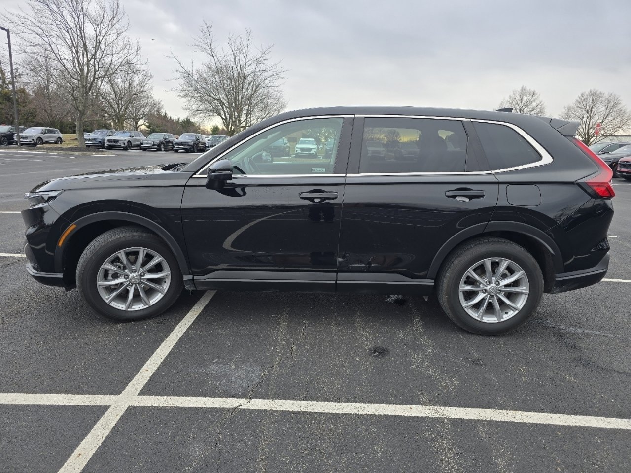 Certified 2024 Honda CR-V EX-L image 15