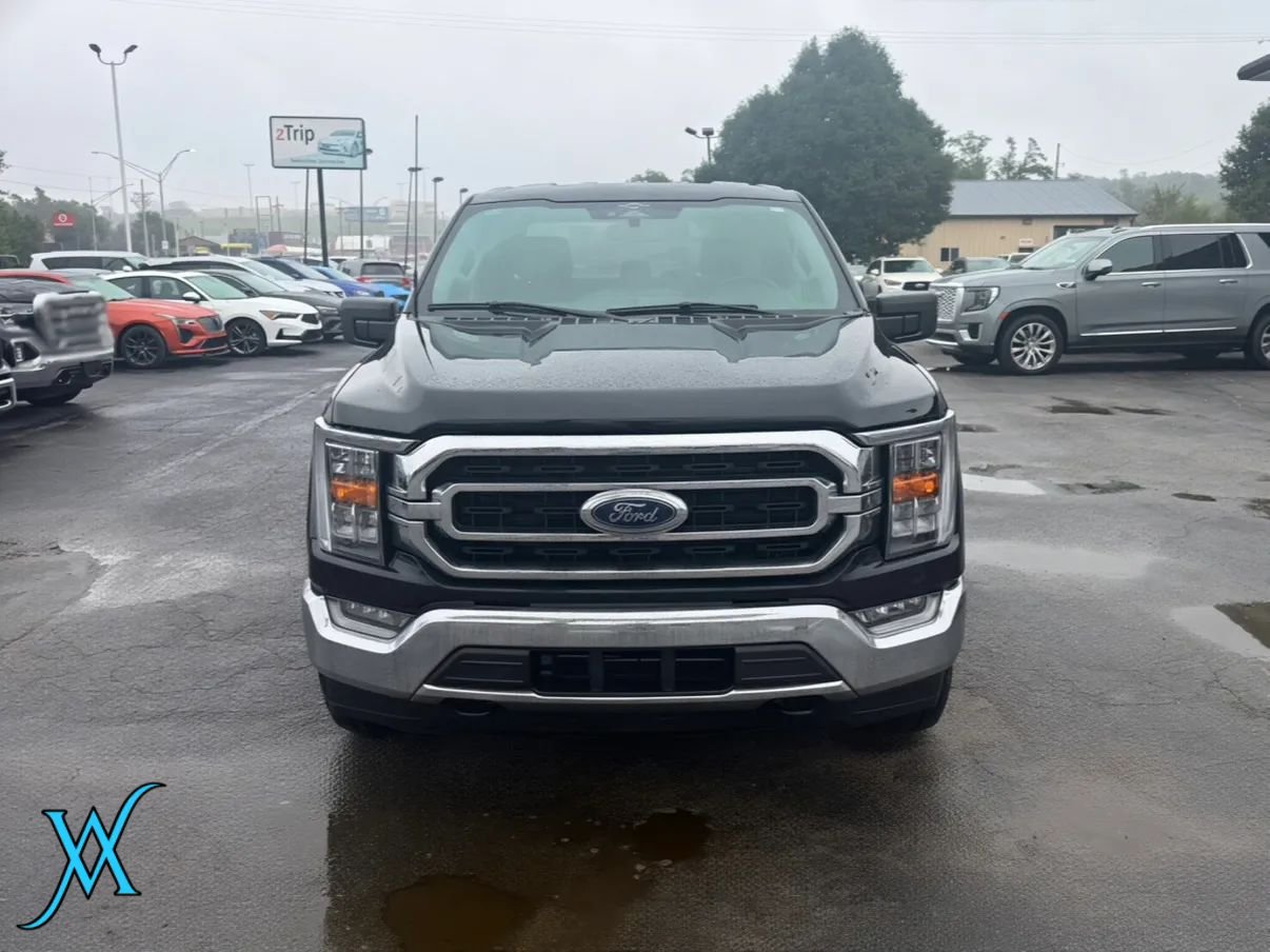 Used 2023 Ford F150 XLT w/ Equipment Group 302A High AWD/4WD image 2