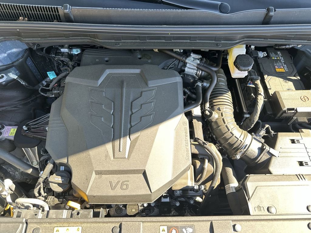 New 2025 Kia Carnival SX Prestige image 18