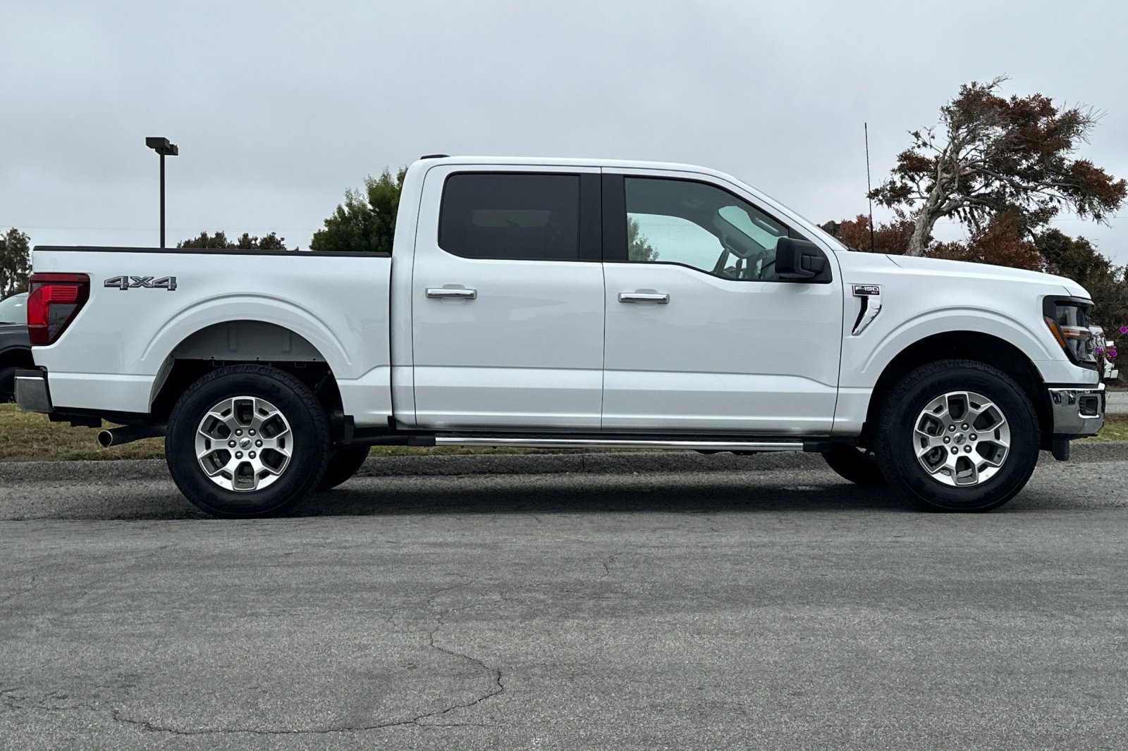 Used 2025 Ford F150 XLT w/ Equipment Group 301A Standard AWD/4WD image 6