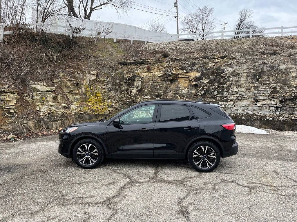 Certified 2022 Ford Escape SEL image 4