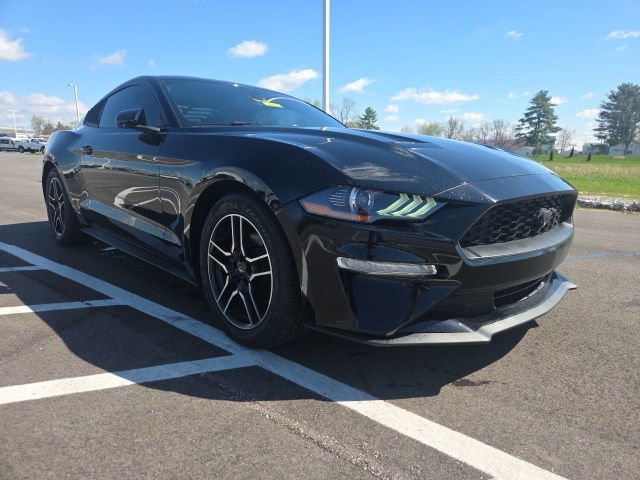 Used 2019 Ford Mustang Coupe w/ Equipment Group 101A