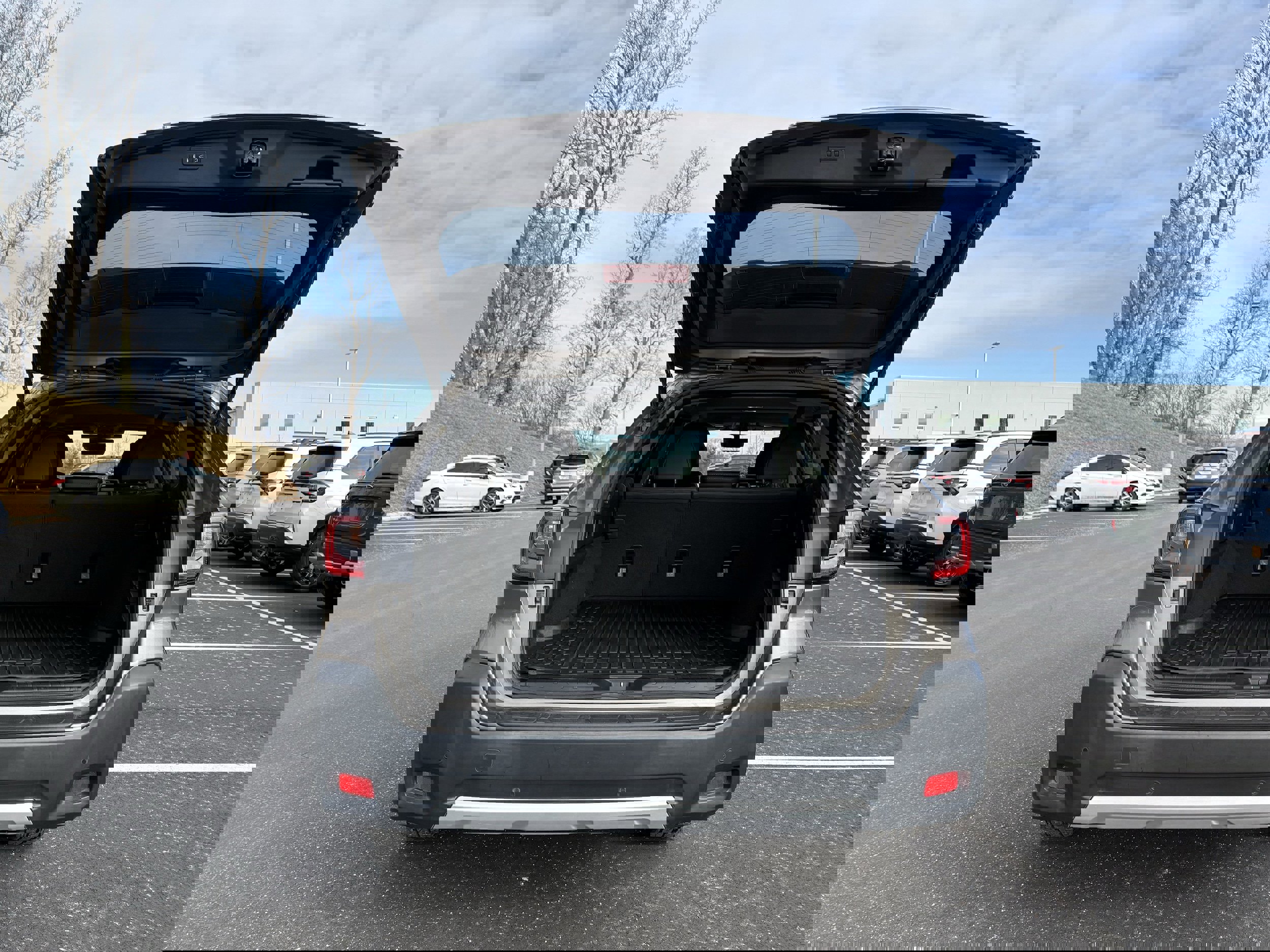 Used 2023 Subaru Outback Limited image 11