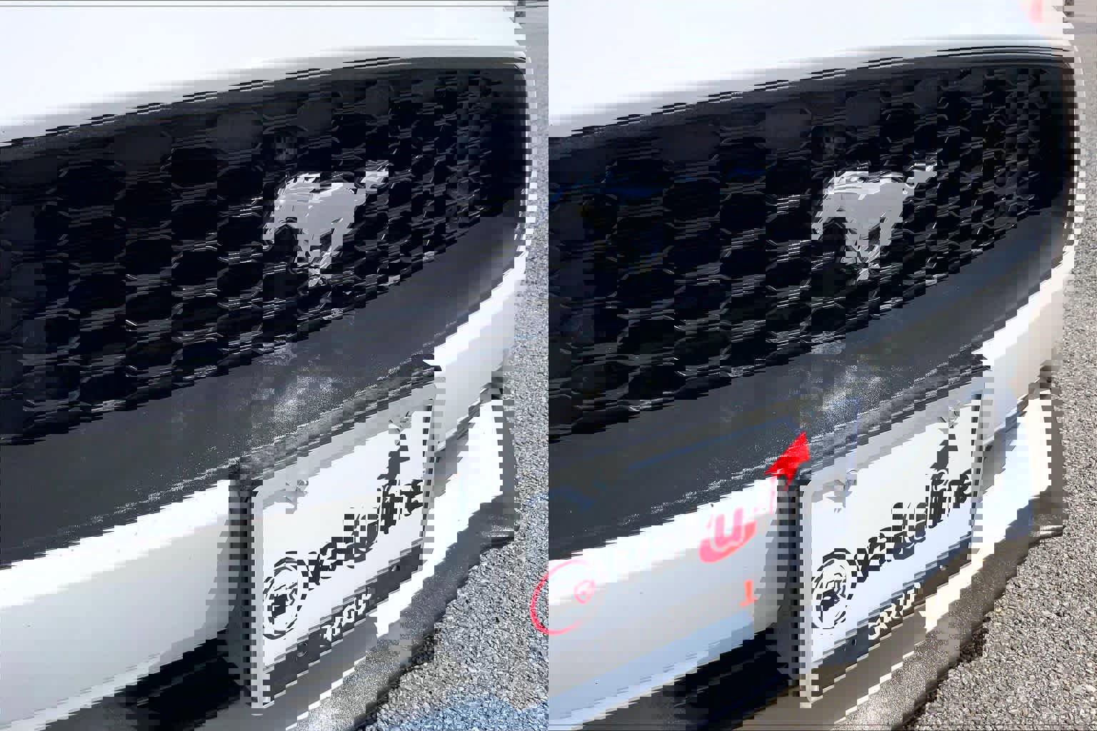 Used 2019 Ford Mustang Premium RWD image 29