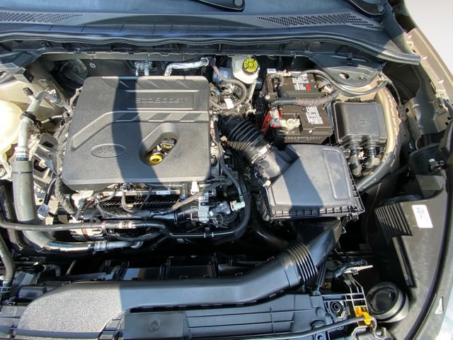 Used 2020 Ford Escape SEL FWD image 31