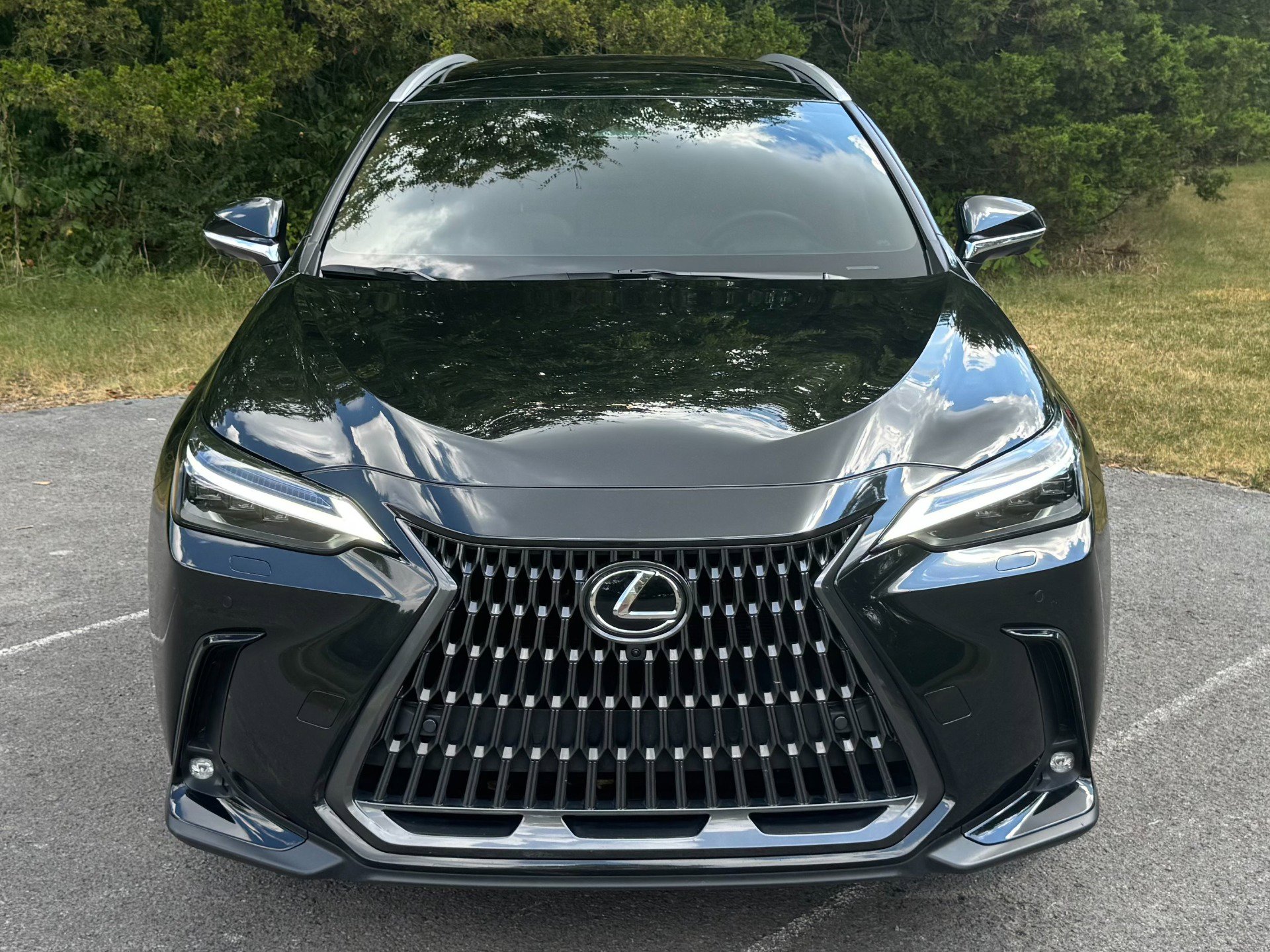 Used 2025 Lexus NX 300h AWD w/ Luxury Package image 6