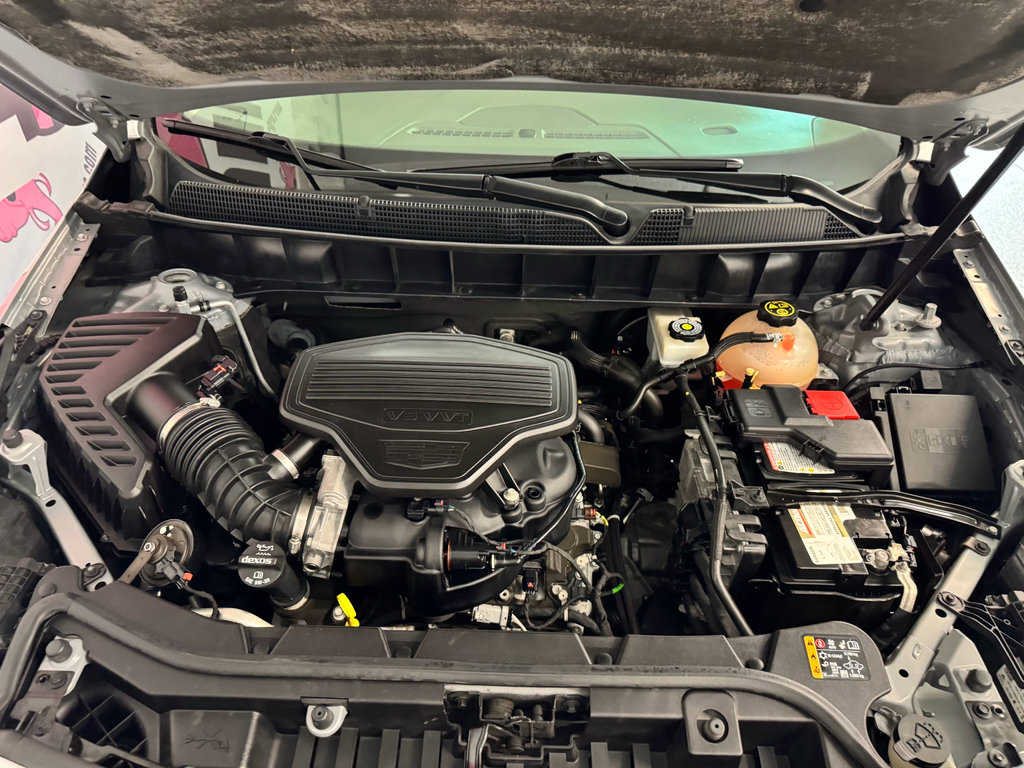 Used 2019 Cadillac XT5 Premium Luxury AWD/4WD image 6