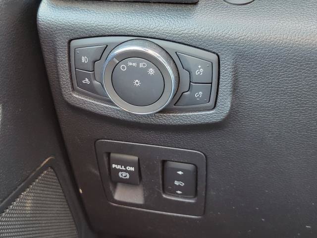 Used 2019 Ford F150 XLT w/ Equipment Group 302A Luxury AWD/4WD image 14
