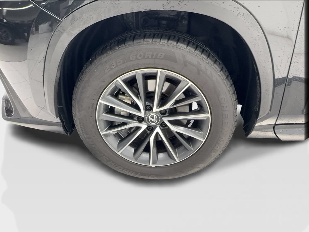 Used 2025 Lexus NX 250 FWD w/ Cold Area Package image 12
