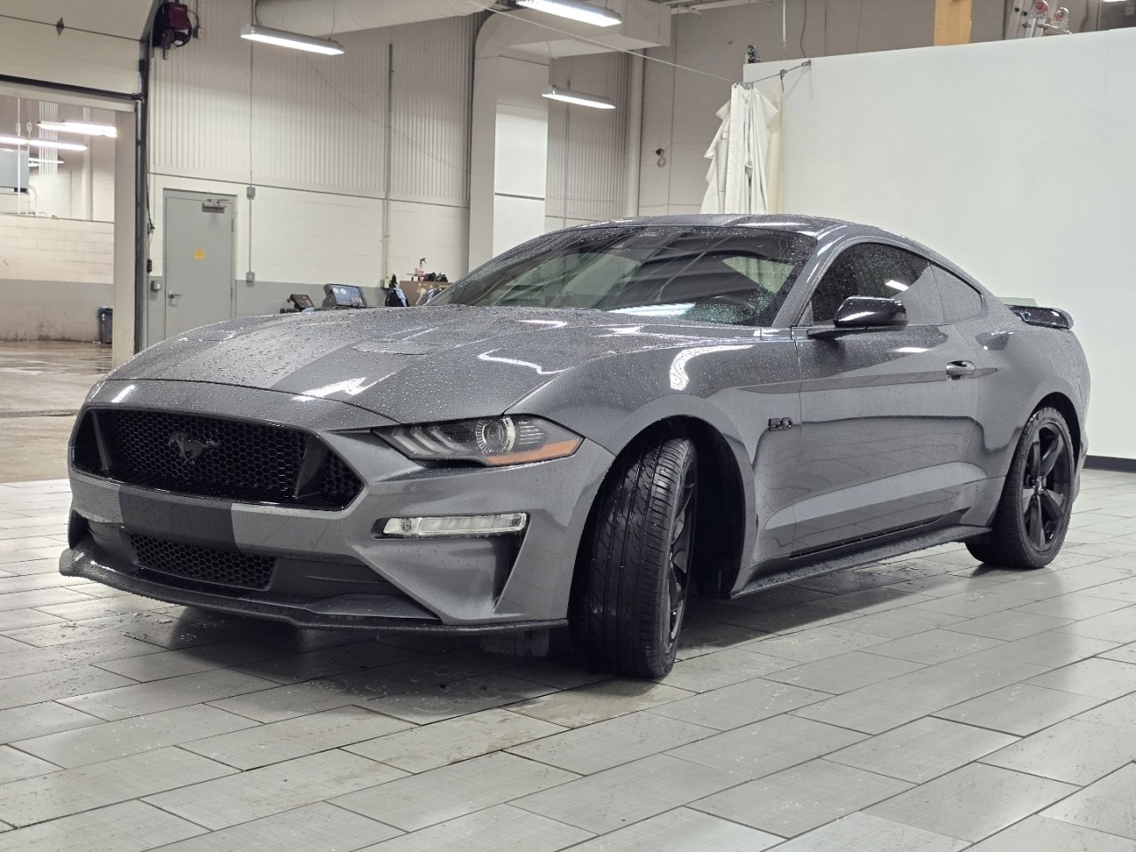 Used 2023 Ford Mustang GT w/ Mustang Nite Pony Package RWD image 8