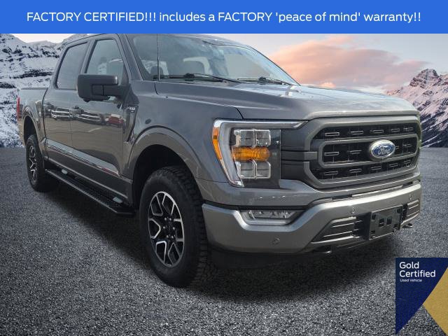 Used 2023 Ford F150 XLT w/ Equipment Group 302A High