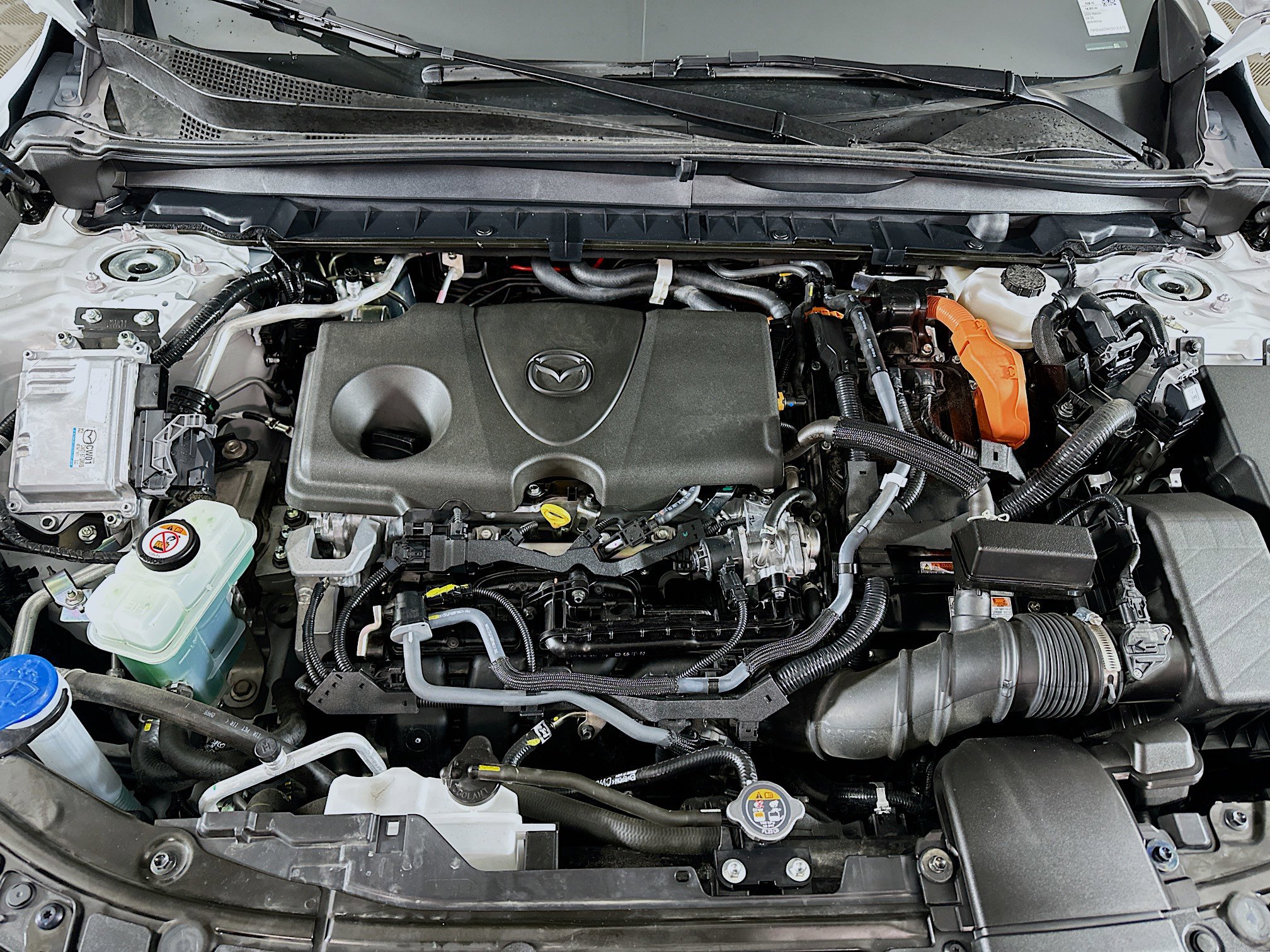 Used 2025 MAZDA CX-50 AWD 2.5 Hybrid w/ Premium Pkg image 33