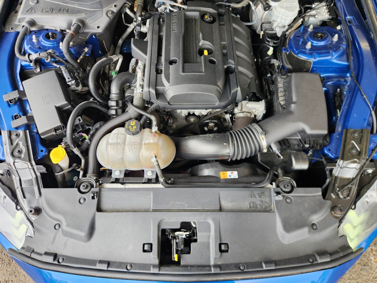 Used 2018 Ford Mustang Coupe RWD image 13