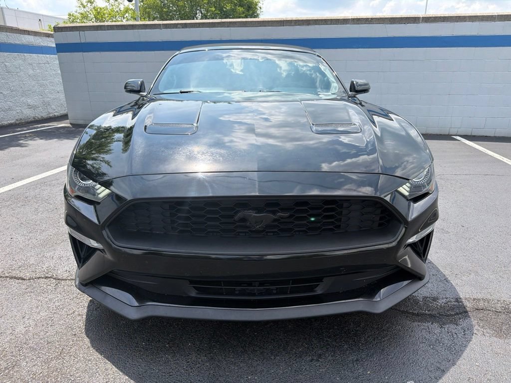 Used 2020 Ford Mustang Premium RWD image 8