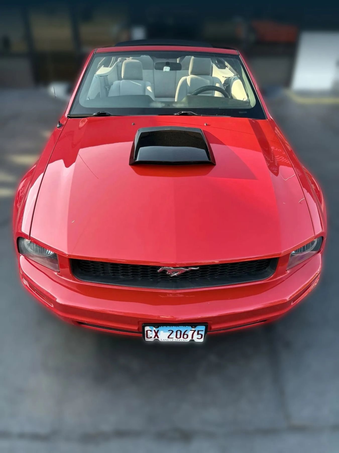 Used 2009 Ford Mustang Premium image 9