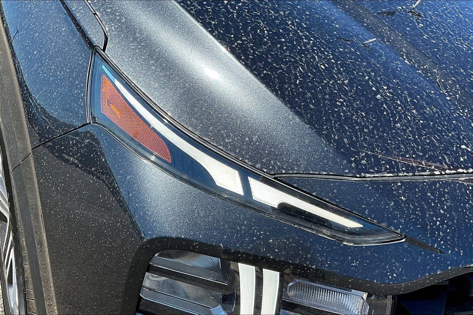 Used 2023 Hyundai Santa Fe SEL image 30