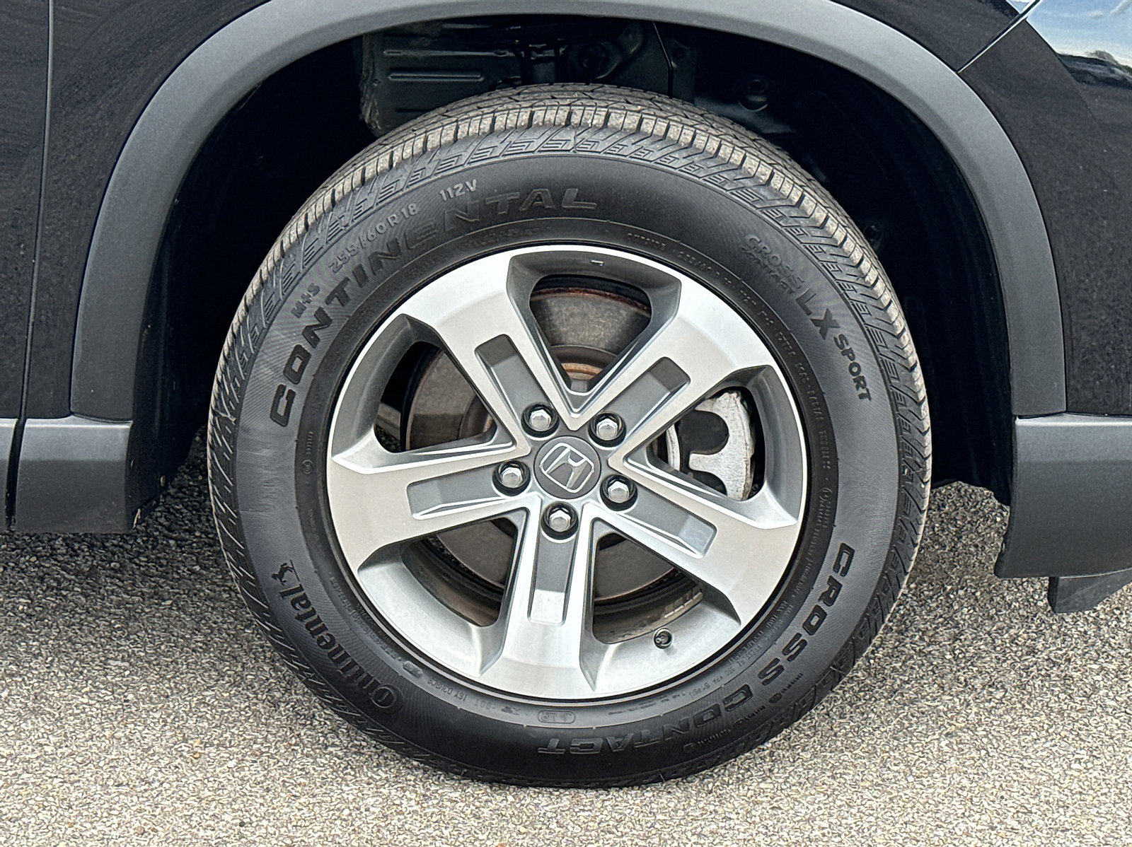 Used 2024 Honda Pilot EX-L image 8