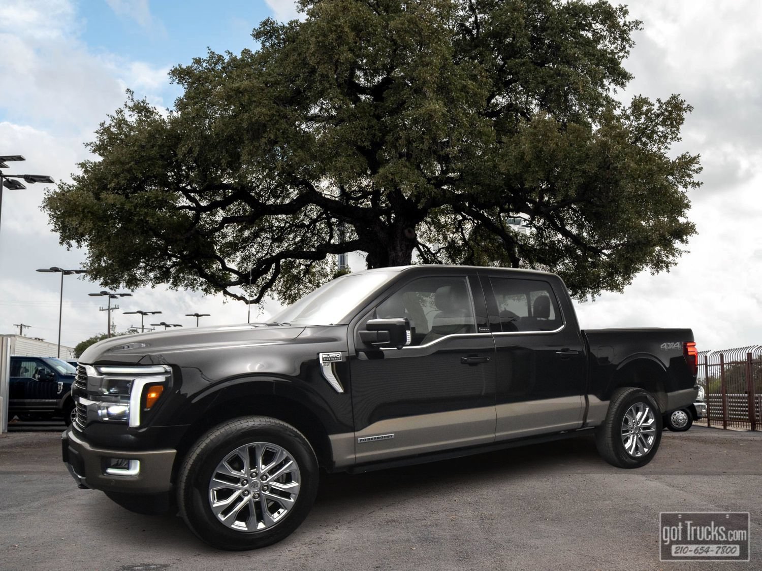 Used 2025 Ford F150 King Ranch AWD/4WD image 1