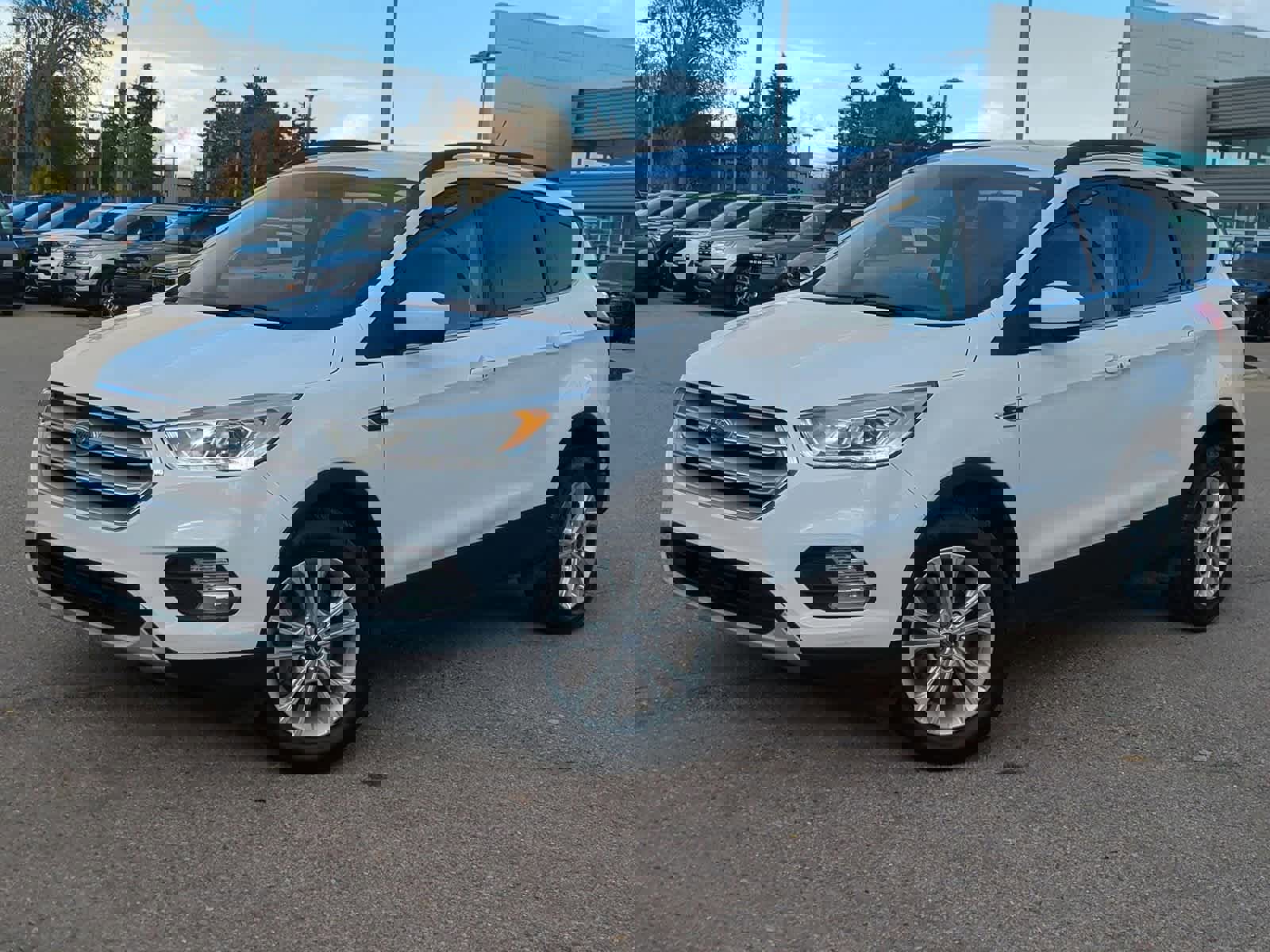 Used 2019 Ford Escape SEL