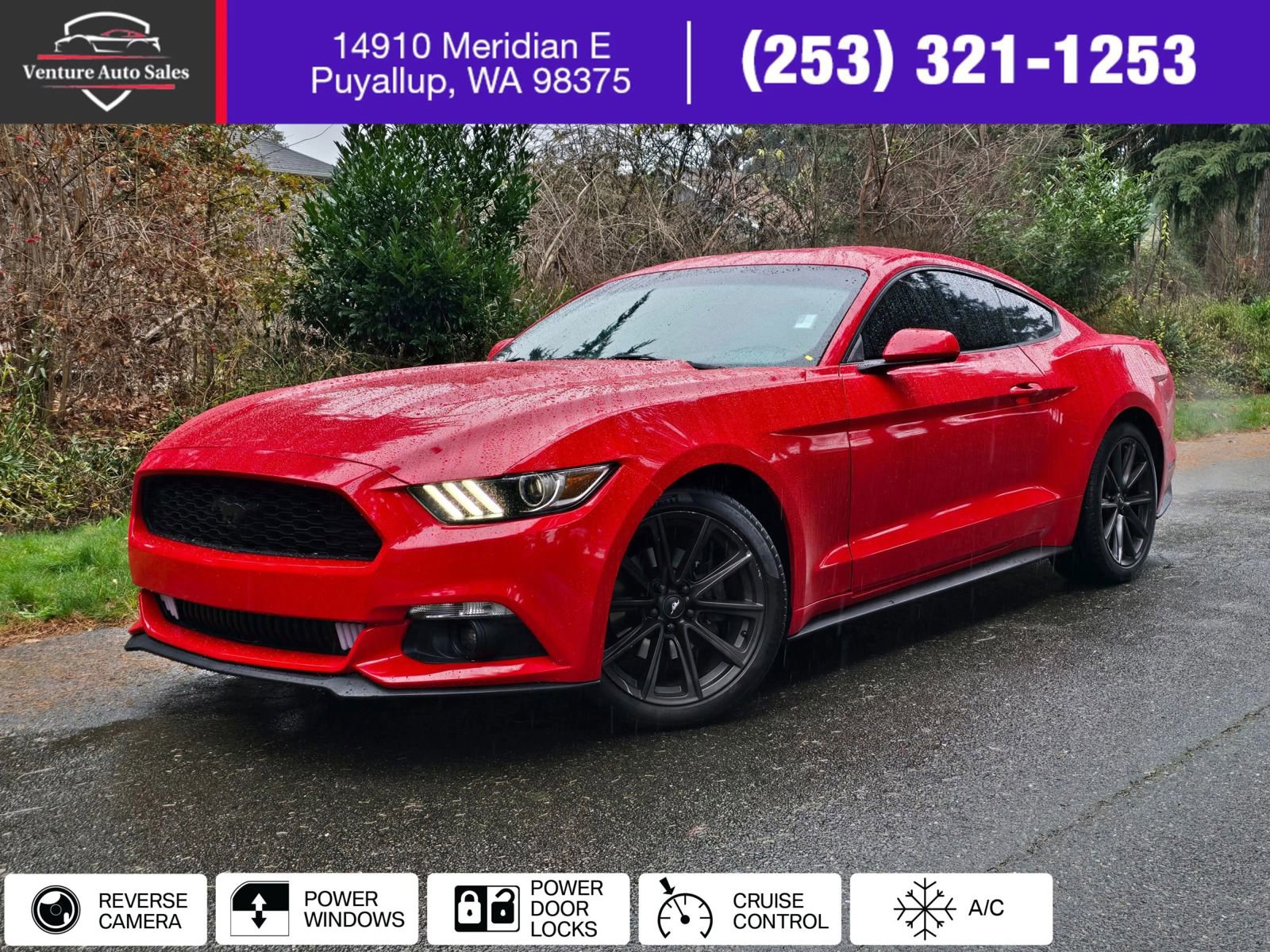 Used 2016 Ford Mustang Coupe image 1